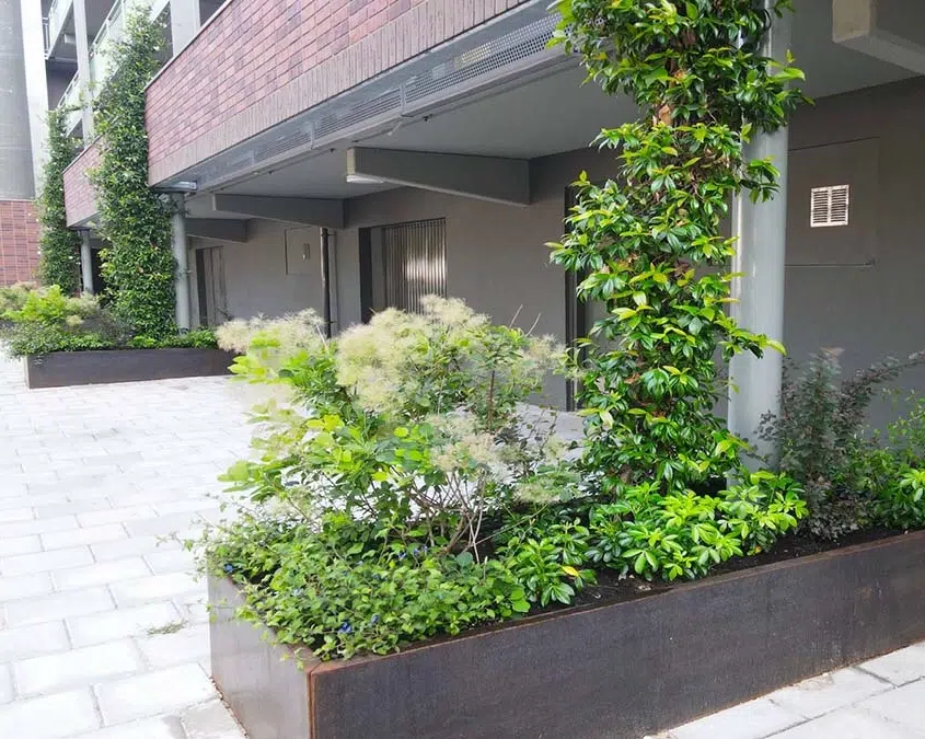 Cortenstalen plantenbakken met hortensia's en klimplanten langs een appartementengebouw